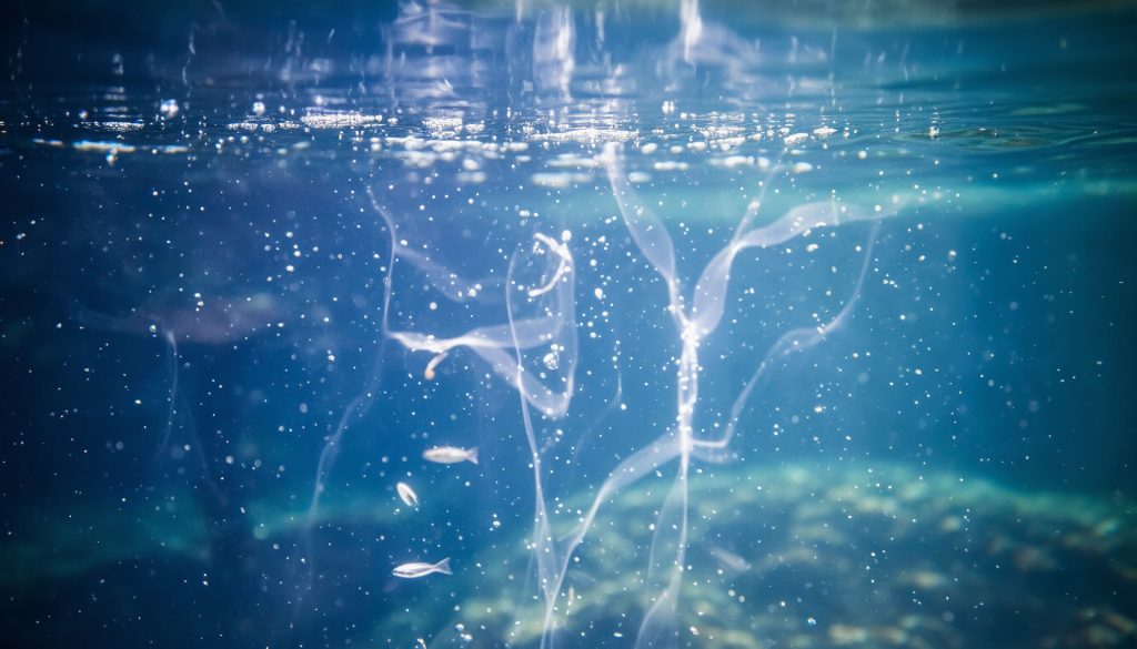 Abstract illustration representing reef tank lighting spectrum and light penetration in marine aquariums.