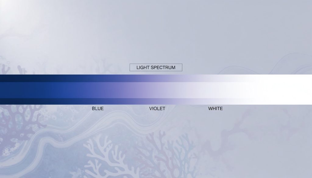 Simplified light spectrum illustration highlighting blue and violet wavelengths used in reef aquarium lighting.